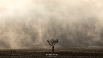 纳米比亚，一场“流放”荒原的旅途，收获亲近万物的真挚