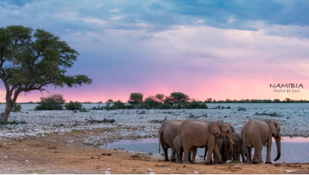 纳米比亚，一场“流放”荒原的旅途，收获亲近万物的真挚